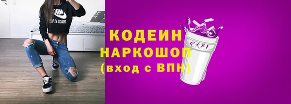 ешки Бородино
