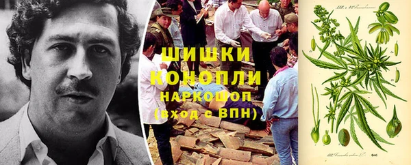 первитин Богданович