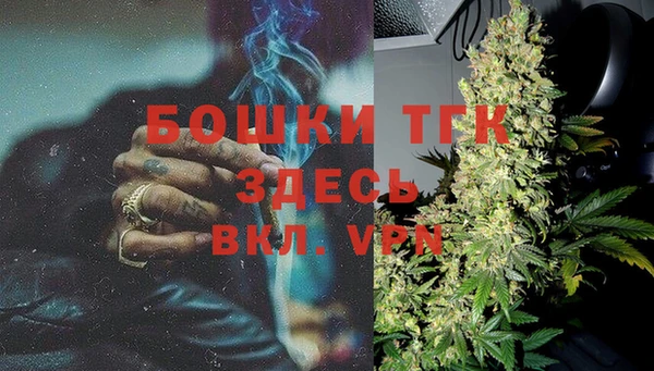 первитин Богданович