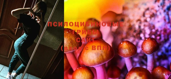 первитин Богданович