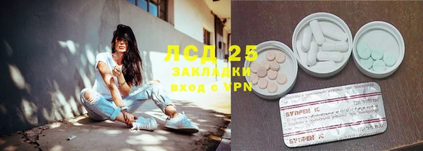 ешки Бородино