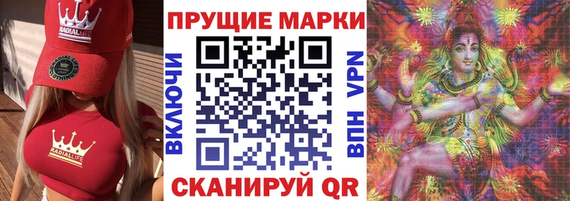 Купить закладки  Новодвинск  Наркотические марки 1,8мг 