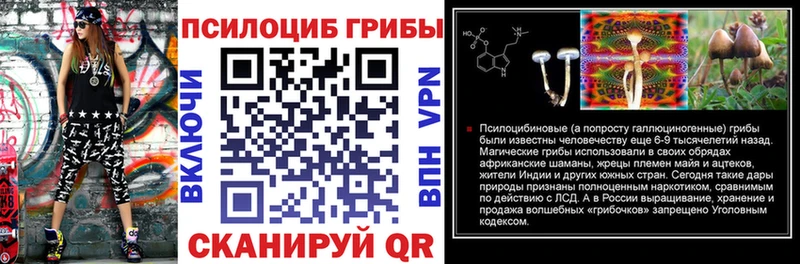 Купить  Новодвинск  Псилоцибиновые грибы мухоморы 